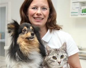 Hund & Katze